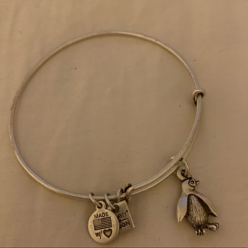 EUC Alex and ani penguin charm bracelet 🐧